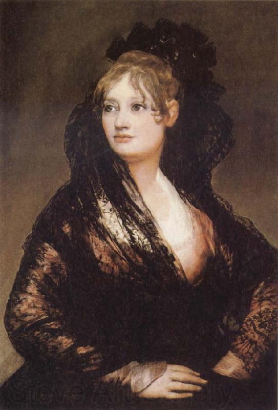 Francisco de Goya Portrait of Dona Isbel de Porcel France oil painting art